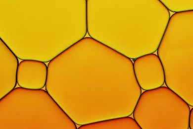 Oil and Gas